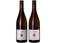 Deutschland - Pfalz - Weingut Lucashof