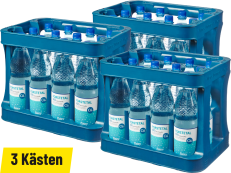 Forstetal 600 Mineralwasser