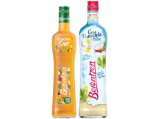 Berentzen Smoothie Shot o. Summer Creamer