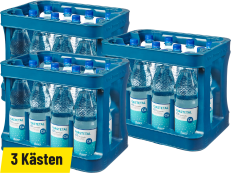 Forstetal 600 Mineralwasser