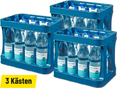 Forstetal 600 Mineralwasser