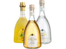 Cellini Grappa